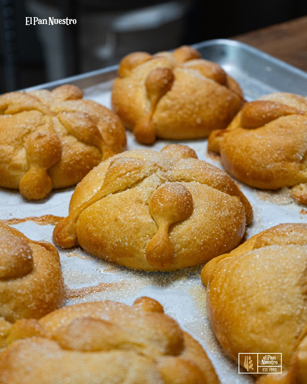 Pan de muerto tradicional con esencia de azahar - Panadería El Pan Nuestro Tijuana